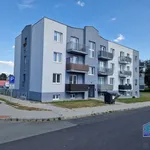 Rent 1 bedroom apartment in Plzeň-sever