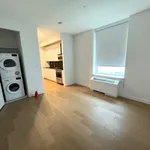 Rent 1 bedroom apartment in Manhattan