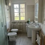 Rent 3 bedroom apartment of 100 m² in Bibbona