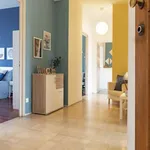 Rent a room in turin