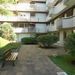 Rent 1 bedroom apartment of 25 m² in Melun