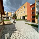 Rent 1 bedroom apartment in Teplice