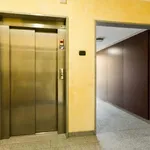 Rent 3 bedroom apartment in Milan