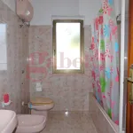 Rent 3 bedroom apartment of 100 m² in Pozzilli