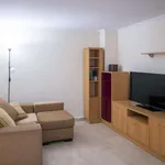 Rent 2 bedroom apartment of 50 m² in valencia