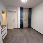 Rent 3 bedroom apartment of 106 m² in Budapest