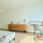 Rent 2 bedroom apartment in Praha 10