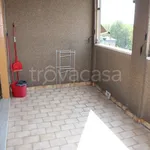 Rent 1 bedroom apartment of 40 m² in Monza