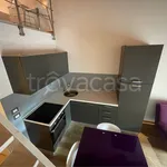 Rent 2 bedroom apartment of 45 m² in Mantova