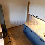 Rent 1 bedroom apartment of 49 m² in Pilsen