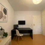 Rent 4 bedroom apartment in Madrid