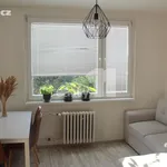 Rent 2 bedroom apartment of 38 m² in Ústí nad Labem