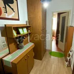 Rent 1 bedroom apartment of 30 m² in Torino