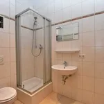 Rent 2 bedroom apartment of 49 m² in Chemnitz