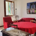 Rent 3 bedroom house of 70 m² in Padua