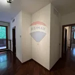 Affitto 5 camera casa di 170 m² in Reggio nell'Emilia