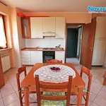 Rent 1 bedroom apartment of 30 m² in Novara