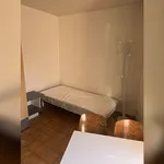 Rent 1 bedroom apartment in Nantes