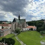 Rent 1 bedroom house in Brno