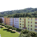 Rent 4 bedroom apartment of 90 m² in Winterthur