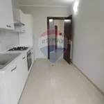 Rent 3 bedroom apartment of 84 m² in Viterbo