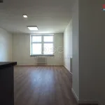 Rent 3 bedroom apartment of 69 m² in Ostrava