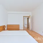 Rent 3 bedroom apartment in Brno