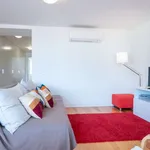 Rent 1 bedroom apartment in lisbon