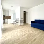 Rent 1 bedroom apartment of 31 m² in Budapest