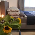 Rent 1 bedroom apartment of 39 m² in Dortmund