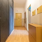 Pronájem bytu 5+1 187m²