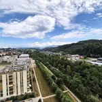 Spacieux appartement de 5.5 pièces à louer avec magnifique vue