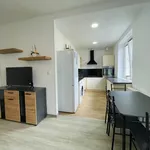 Rent 3 bedroom apartment in Karlovy Vary