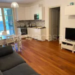 Rent 4 bedroom apartment of 100 m² in Pisa