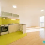 Rent 1 bedroom apartment of 33 m² in Olomouc