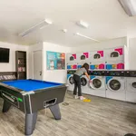 Rent 1 bedroom flat in Sheffield