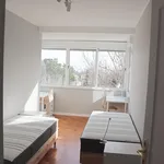 Rent 5 bedroom apartment in Lisbon