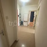 Rent 3 bedroom apartment of 70 m² in Trieste