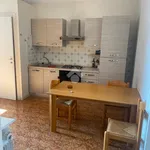 Rent 3 bedroom apartment of 68 m² in Torino