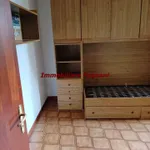 Rent 3 bedroom apartment of 100 m² in Velletri