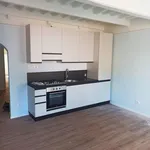 Rent 3 bedroom apartment of 70 m² in Pisa