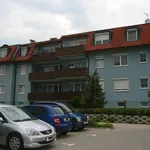 Rent 2 bedroom apartment of 40 m² in Gars am Kamp