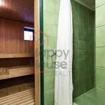 Rent 1 bedroom house of 250 m² in Prague