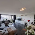 Rent 4 bedroom apartment of 110 m² in Meerwede Zuidoost