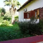 Rent 4 bedroom house of 100 m² in Cinisi