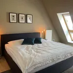 Rent 3 bedroom apartment of 156 m² in berlin