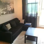 Rent 1 bedroom apartment in Praha - západ