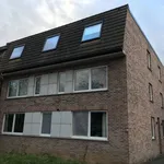 Rent 2 bedroom apartment in Leuven