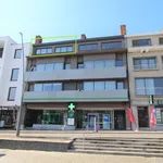 APPARTEMENT MET 3 SLAAPKAMERS - CENTRUM DIEPENBEEK