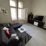 Rent 1 bedroom apartment of 48 m² in budapest